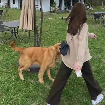 欺骗我